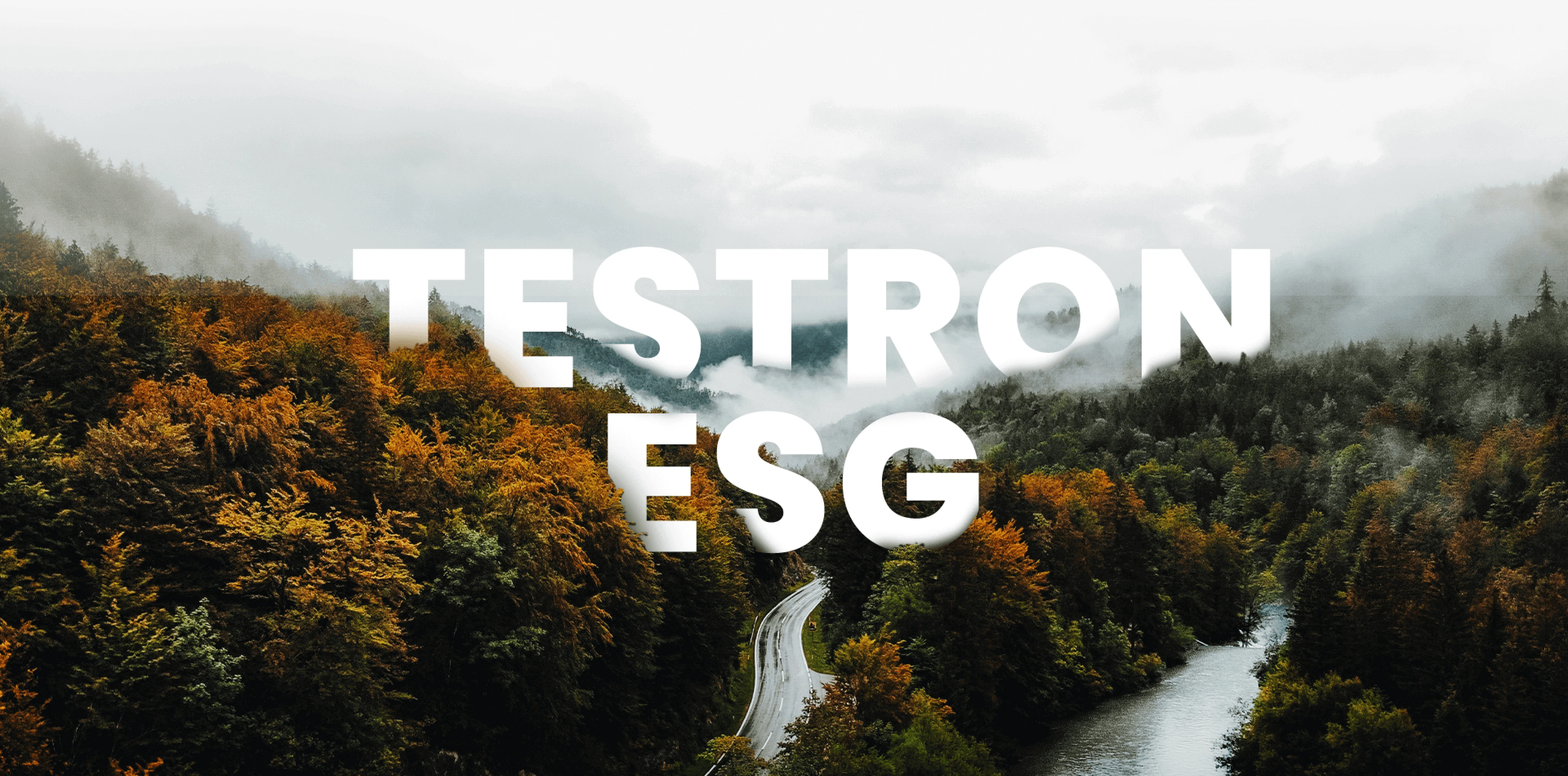 Testron Technology